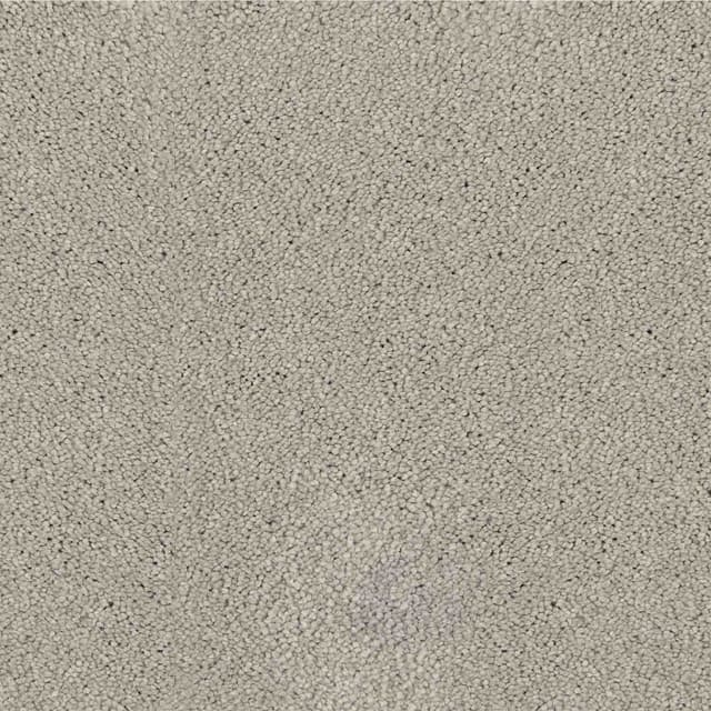 zemincim_0011s_0002_BARSELONA 61 – 1