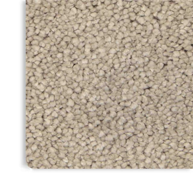 zemincim_0008s_0000_BARSELONA 64 – 3